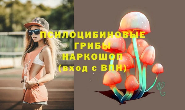 героин Лагань
